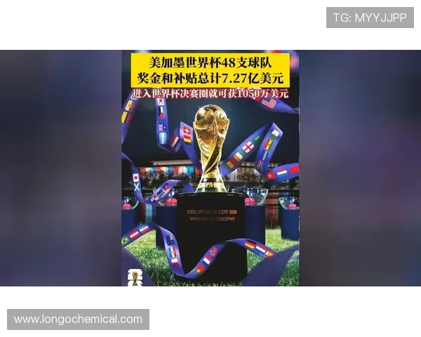 2026年美加墨世界杯已出线球队的晋级之路与关键比赛回顾